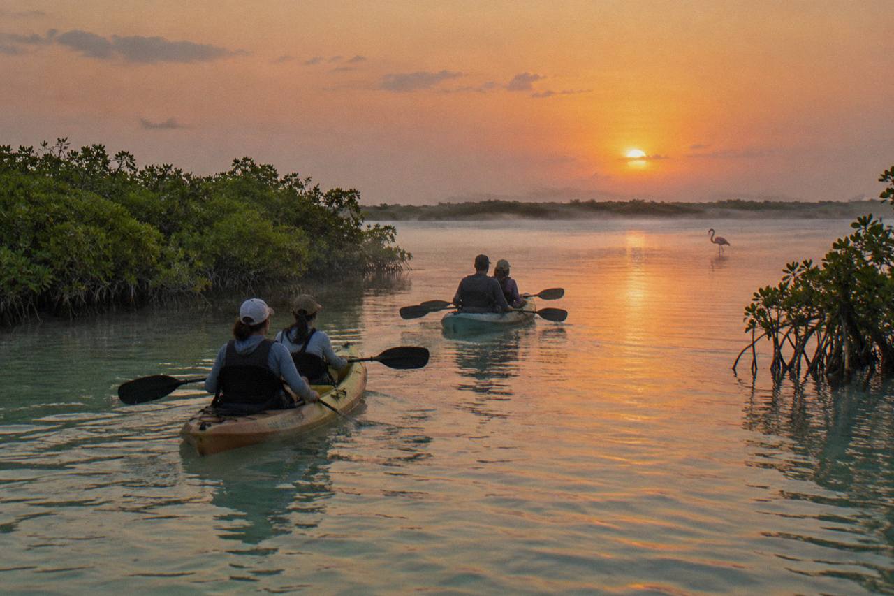 Sunrise Kayak, Trilingual Guides