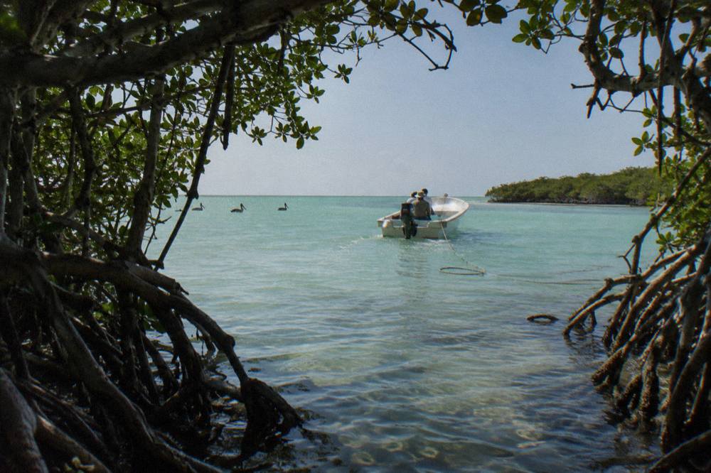 A small open boat crossing flat green water toward open sea in early morning light