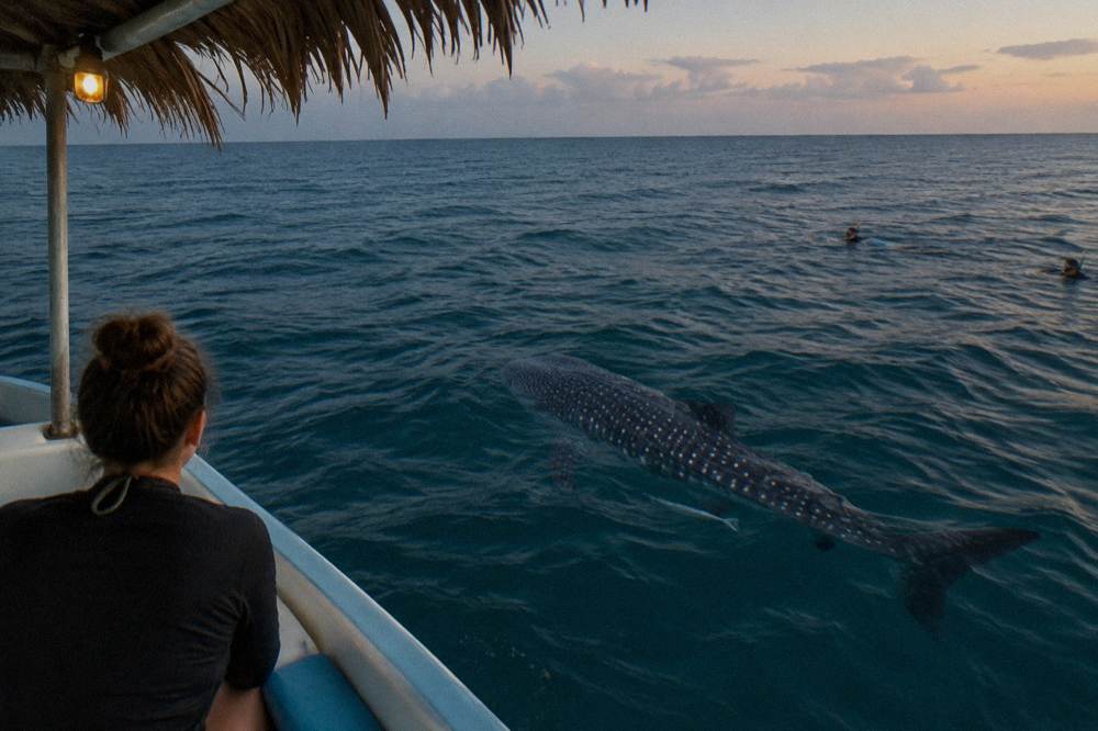 A passenger seated calmly on a boat bench watching clear water from the deck