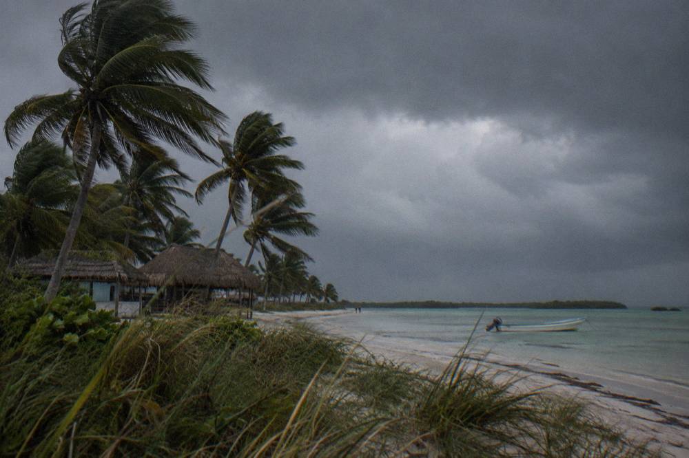 Palm trees leaning under a grey rainy sky over an empty beach
