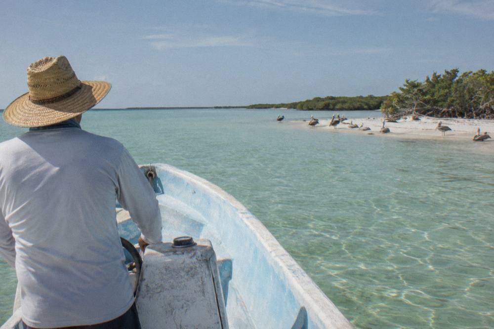 A small open boat cruising across calm open sea with a guide scanning the horizon