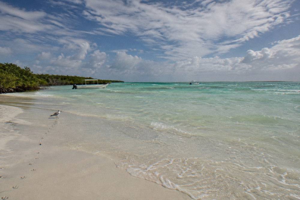 Empty beach with pale sand and shallow turquoise shallows under a wide sky