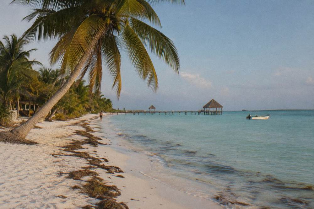 An empty palm-lined beach with calm shallow water at late afternoon