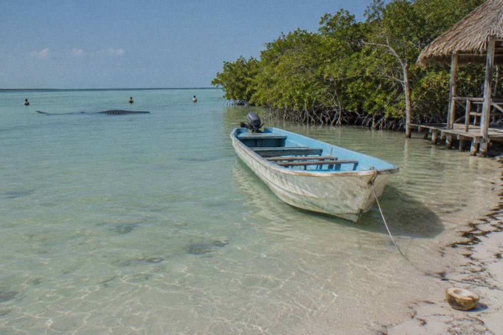 An open fishing skiff with bench seats resting on calm shallow water beside a mangrove shoreline