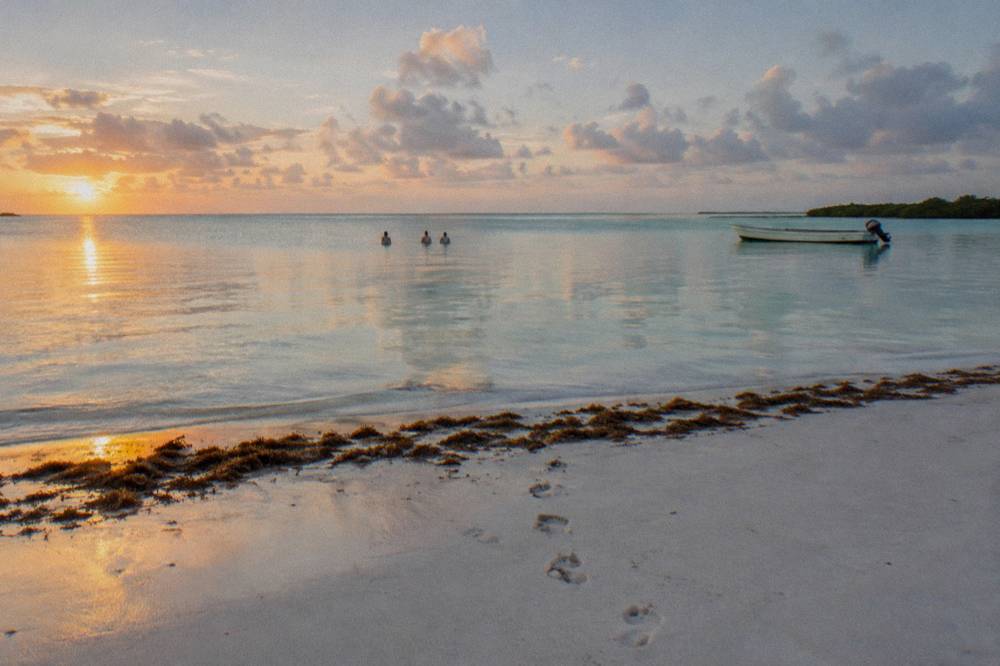 A quiet beach at dawn with pale sand, calm water and distant clouds
