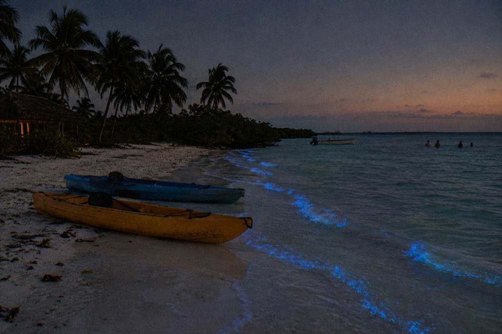 Kayaks resting on a dark beach with faint blue glow along the waterline at night