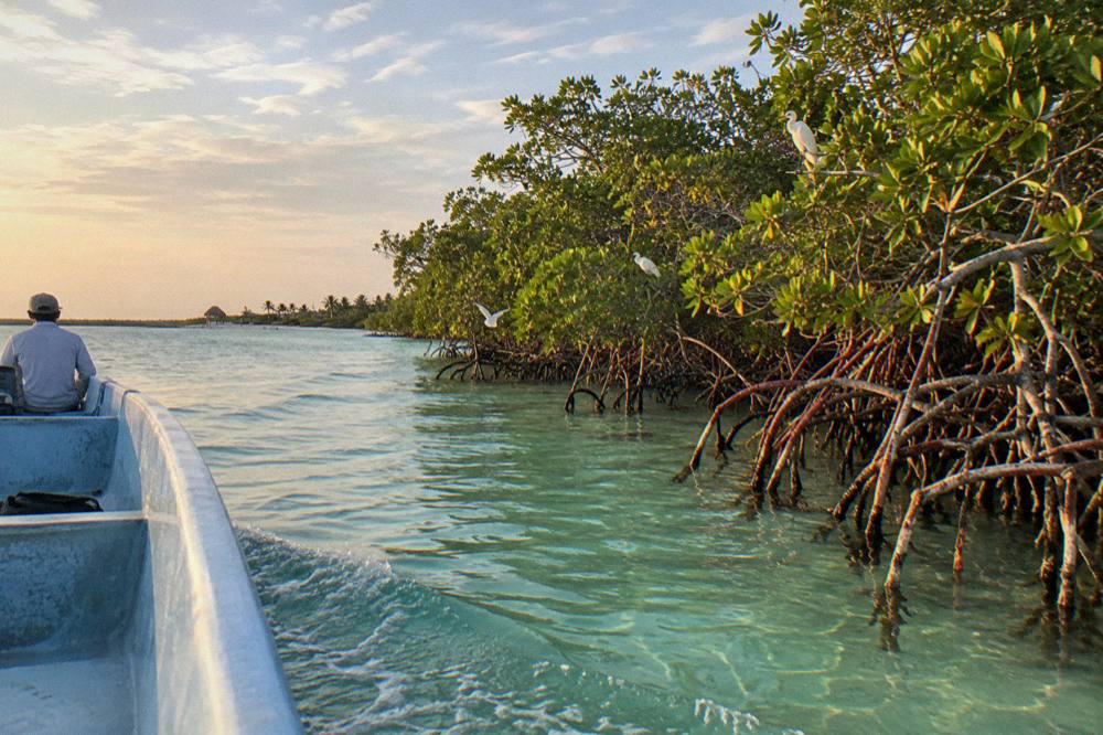 Small open boat crossing shallow turquoise lagoon water toward mangrove islands