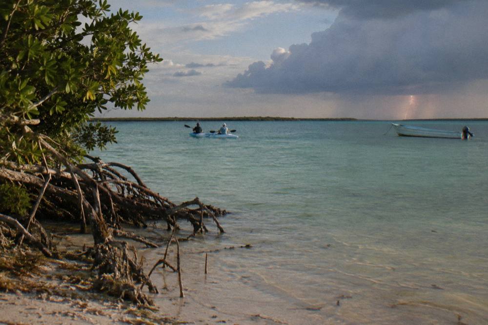 A kayak gliding across shallow water that glows pale blue around the hull on a dark night