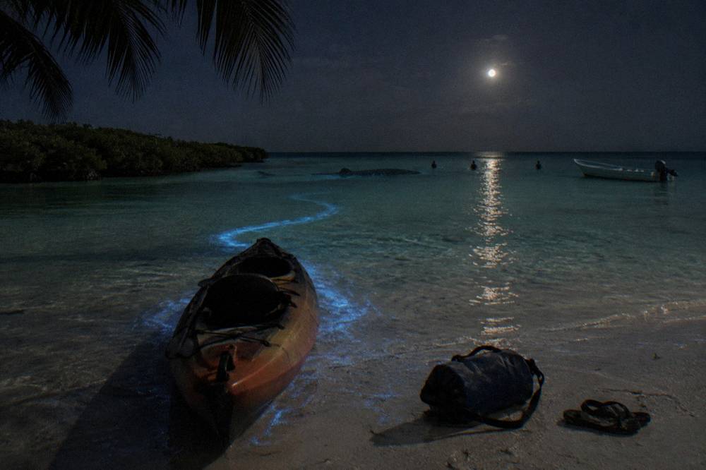 Glowing blue trail behind a kayak paddle on a black night sea near Holbox