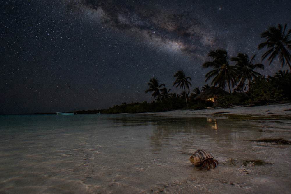 Milky Way visible above a silhouetted coastline on a moonless night at Holbox