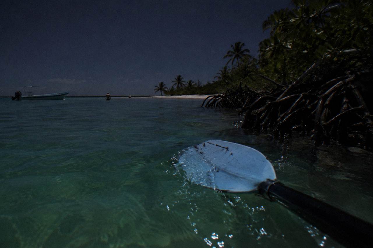 Calm dark water off a Holbox beach glowing pale blue along a kayak paddle stroke