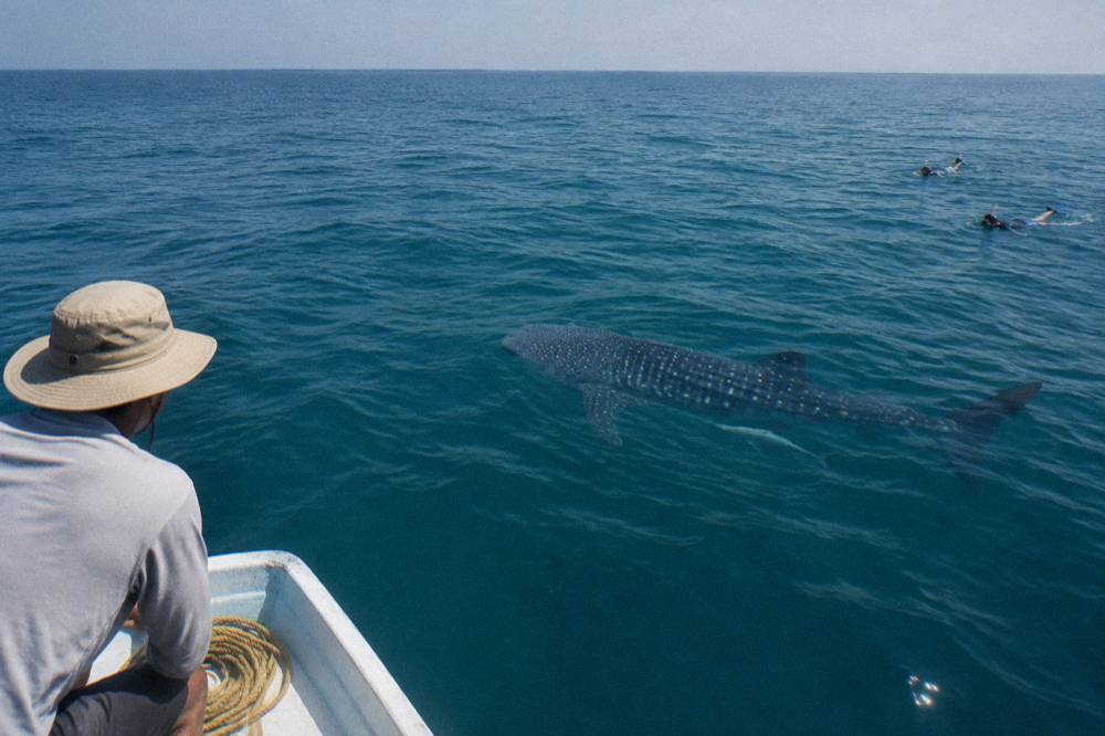 A small open boat on calm open sea with a guide pointing toward the water