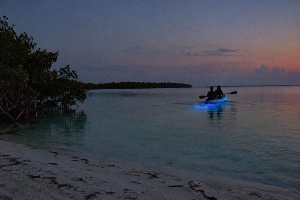 A kayak gliding over dark water with a faint blue glow beneath the surface