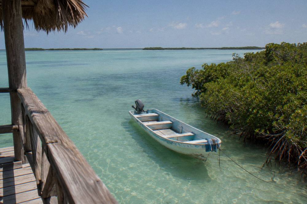 A wooden boat resting in shallow turquoise water beside a mangrove shoreline