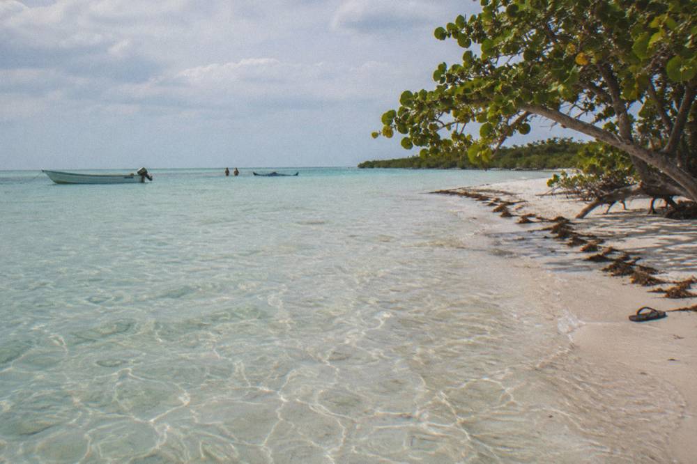 Shallow clear water over pale sand seen from a low angle near a beach
