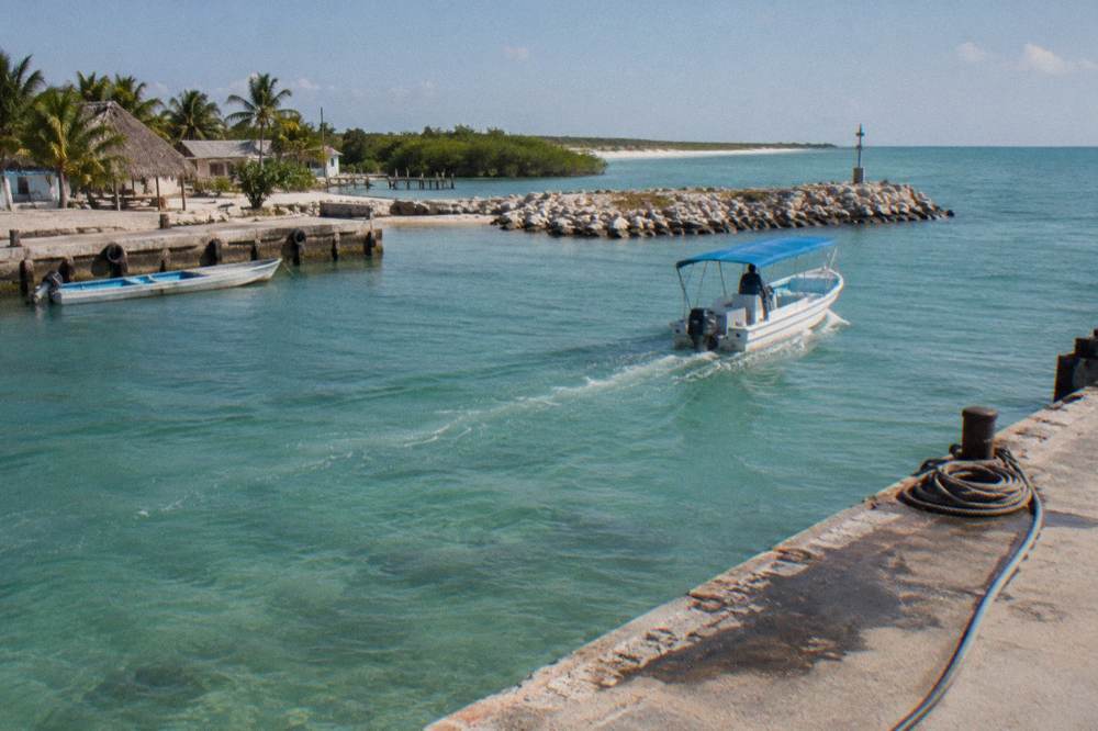 A covered speedboat leaving a marina entrance toward open blue water in morning light
