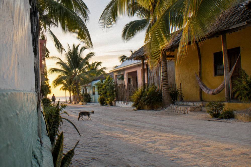  A sandy street on a small island lined with palm trees and low colorful buildings at golden hour