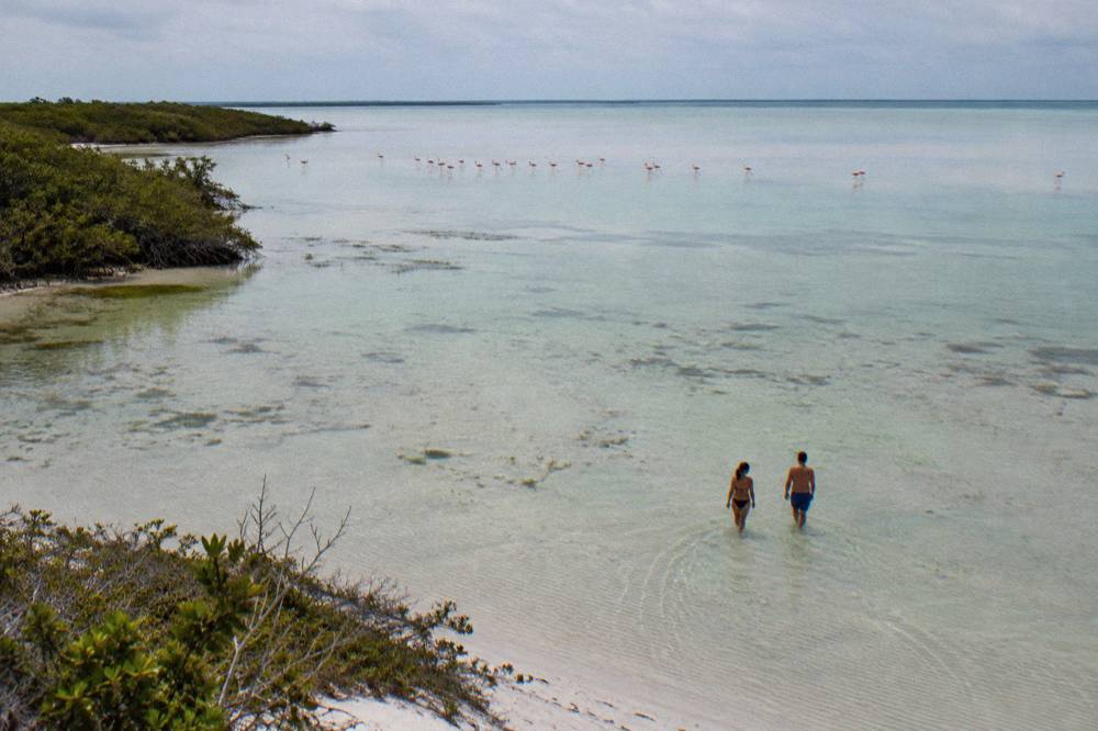 Shallow sandbar flats at low tide with distant wading birds along the waterline