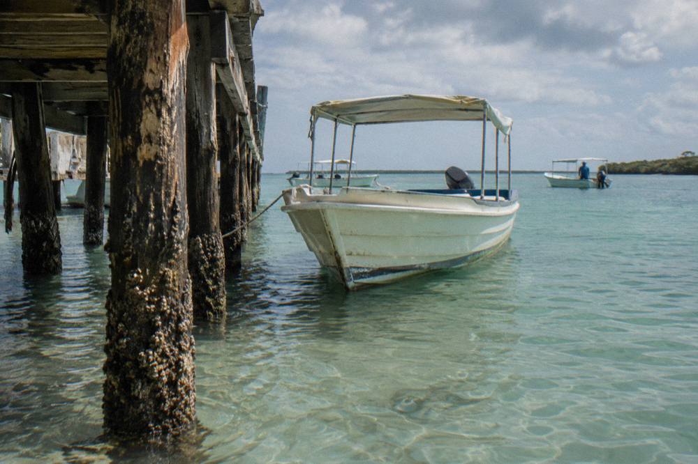 A pale wooden tour boat moored at a small dock with calm green water