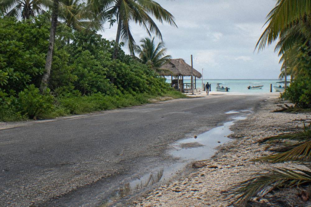 An empty two-lane road through green lowland jungle heading north toward the coast