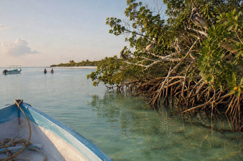Small boat moored in clear shallow water near a mangrove shoreline at Holbox
