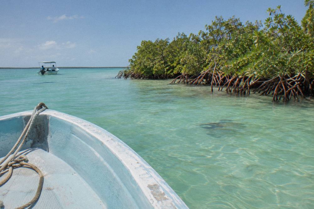 Small open boat cruising through shallow turquoise water toward a mangrove island