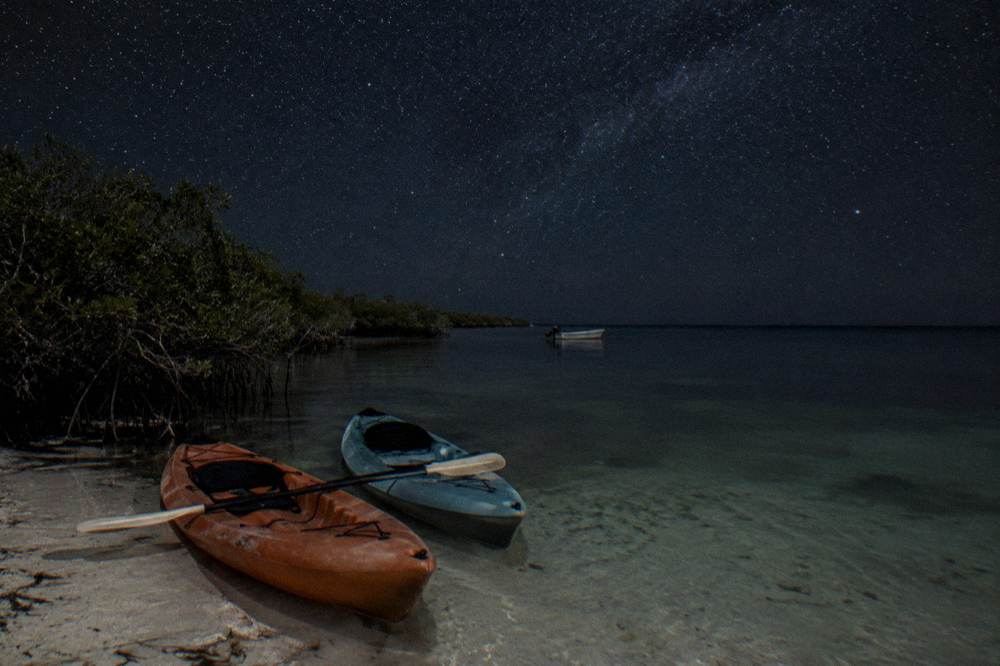 Kayaks resting on dark calm water with a star-filled night sky above