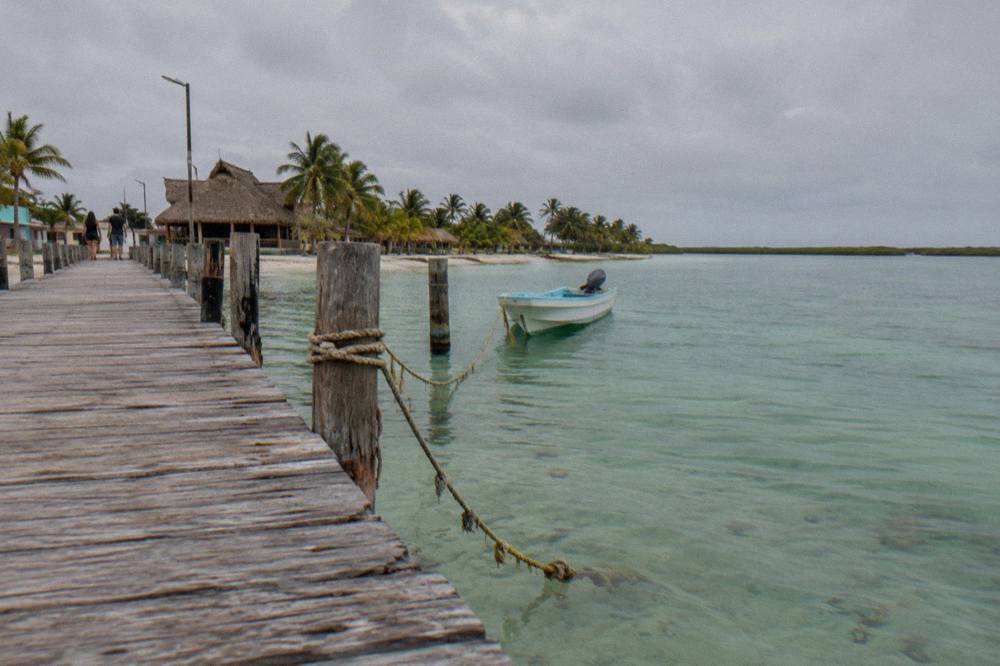 A wooden pier extending into shallow green water with a small boat tied at the end